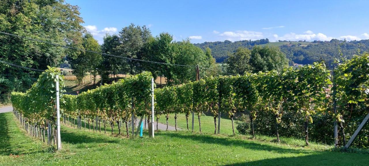 Gaestehaus - Camping- Weinhof Radl Klöch Kültér fotó