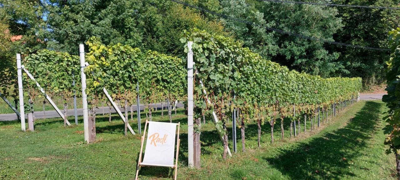 Gaestehaus - Camping- Weinhof Radl Klöch Kültér fotó